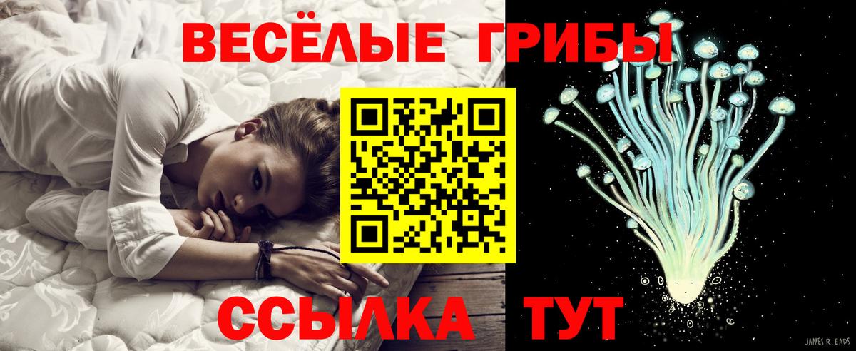 Галлюциногенные грибы прущие грибы Тавда